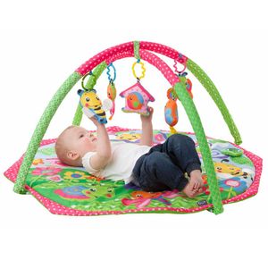 Gimnasio Playgro BUG S N BLOOM ACTIVITY