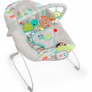 Mecedora Musical Bouncer Vibradora Bebe Bright Starts 11508