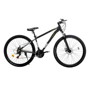 Bicicleta R29 Randers Kawill