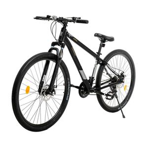 Bicicleta R29 Randers Kawill