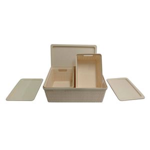 Set Cajas Organizadoras Argenprom 30514