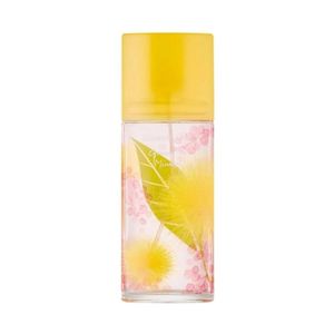 Perfume Elizabeth Arden Green Tea Mimosa EDT 100ml