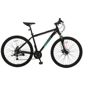 Bicicleta R29 Gravity Benz Nv