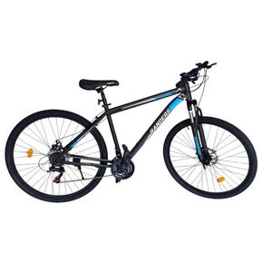 Bicicleta R29 Randers Thunder