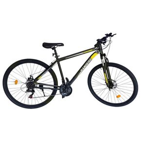 Bicicleta R29 Randers Thunder